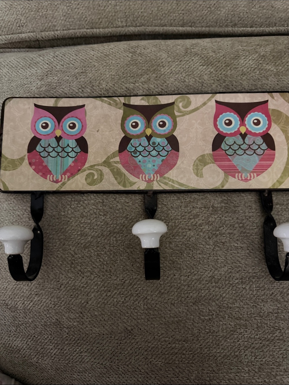 Kirklands Owl Hook Rack in Pink, Teal, Brown